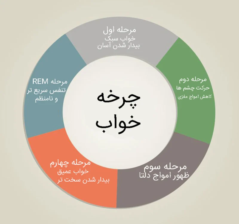 مراحل خواب