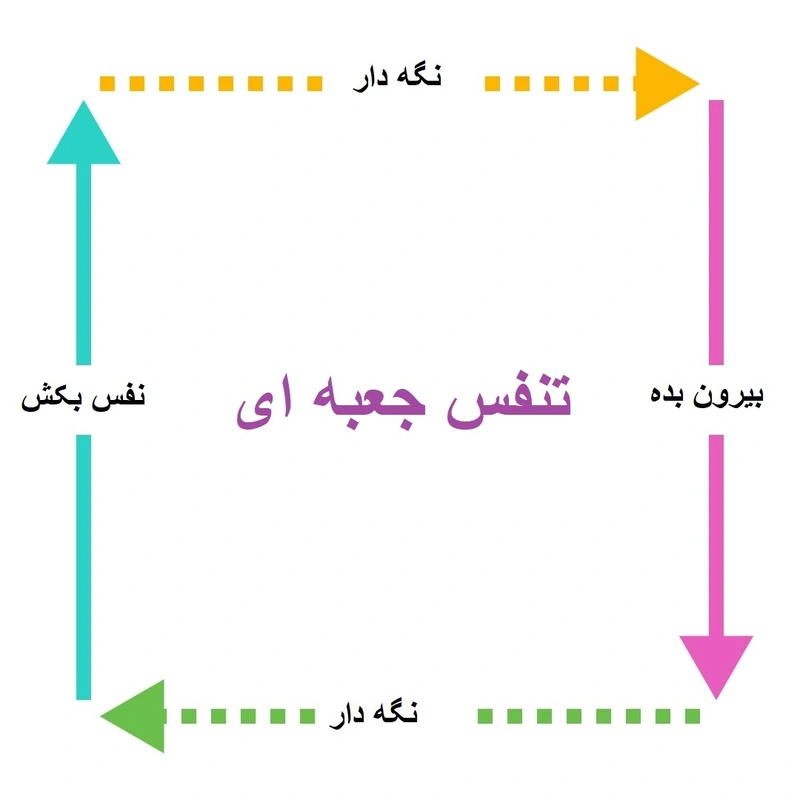 تنفس جعبه‌ای